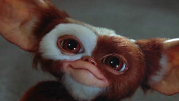 stanno per tornare i Gremlins