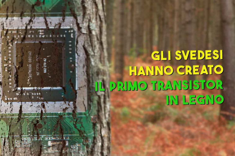 svedesi hanno creato il primo transistor in legno