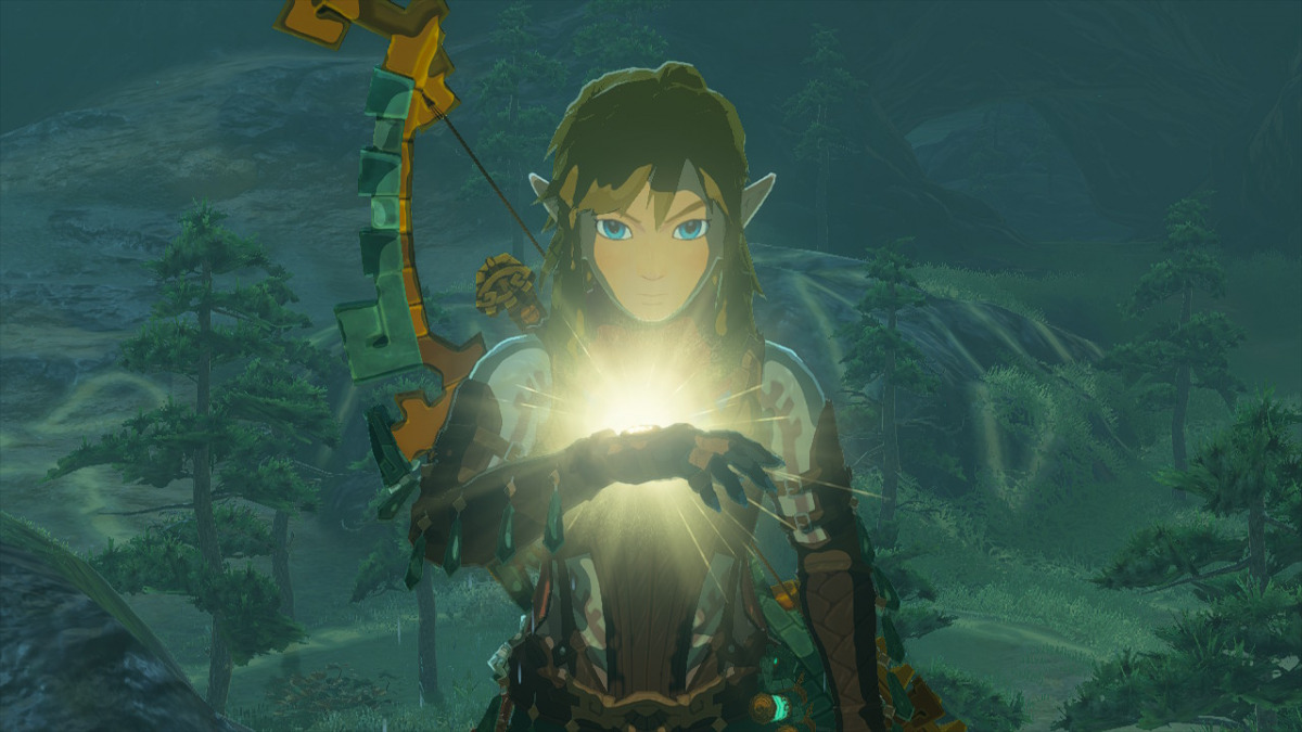 Zelda Tears of the kingdom link