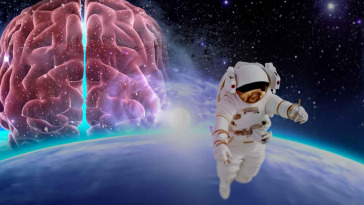 Il cervello degli astronauti cambia nello spazio