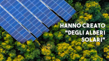 hanno creato i primi alberi solari