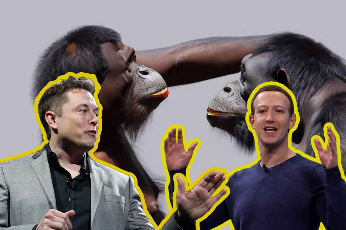 musk e zuckerberg se le daranno di santa ragione
