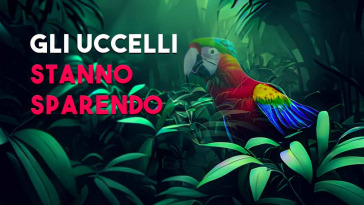 stanno sparendo gli uccelli