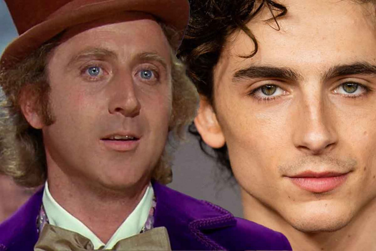 ritorna willy wonka con timothee chalamet