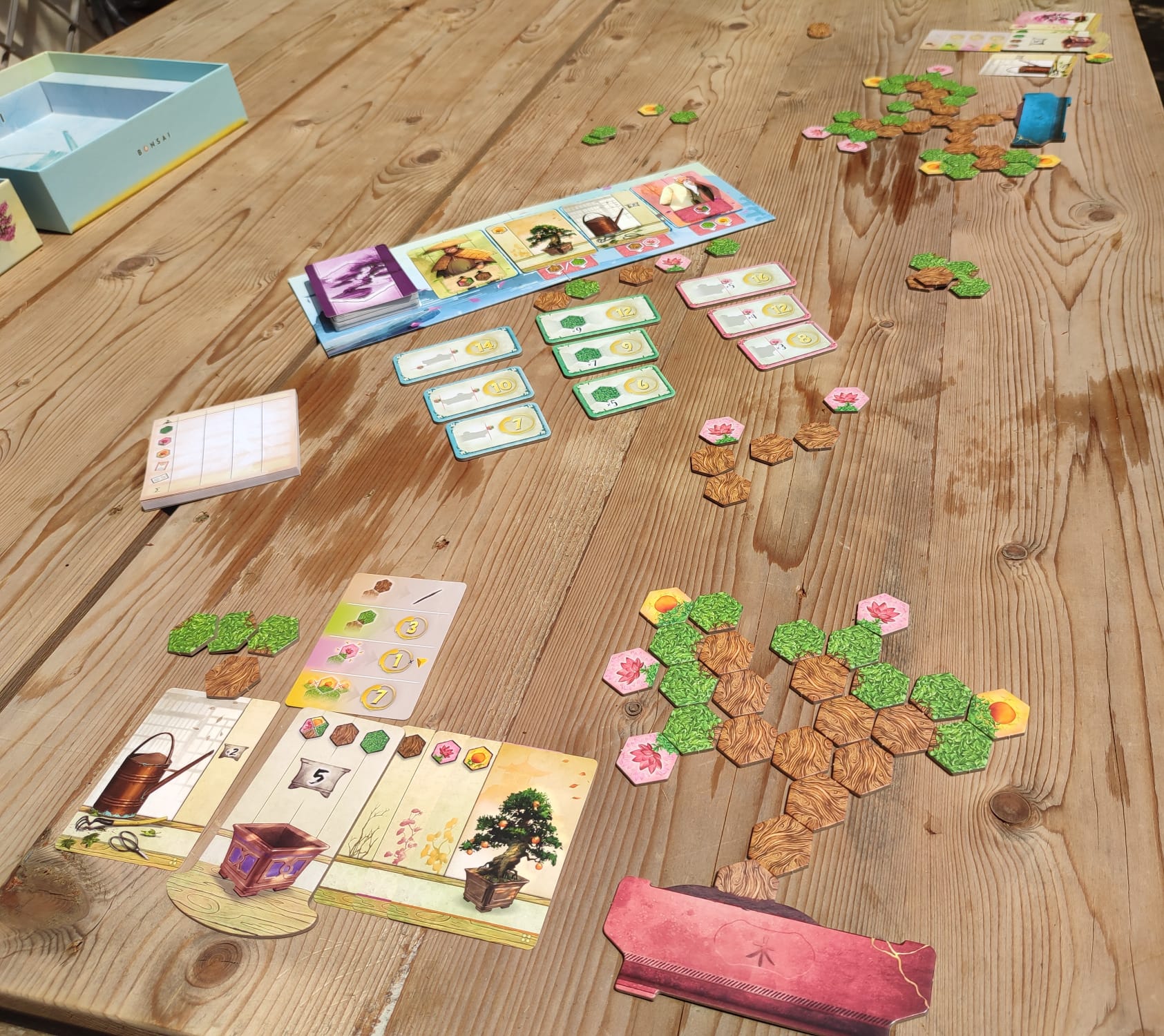 Anteprima Bonsai: il gioco da tavolo che rende divertente