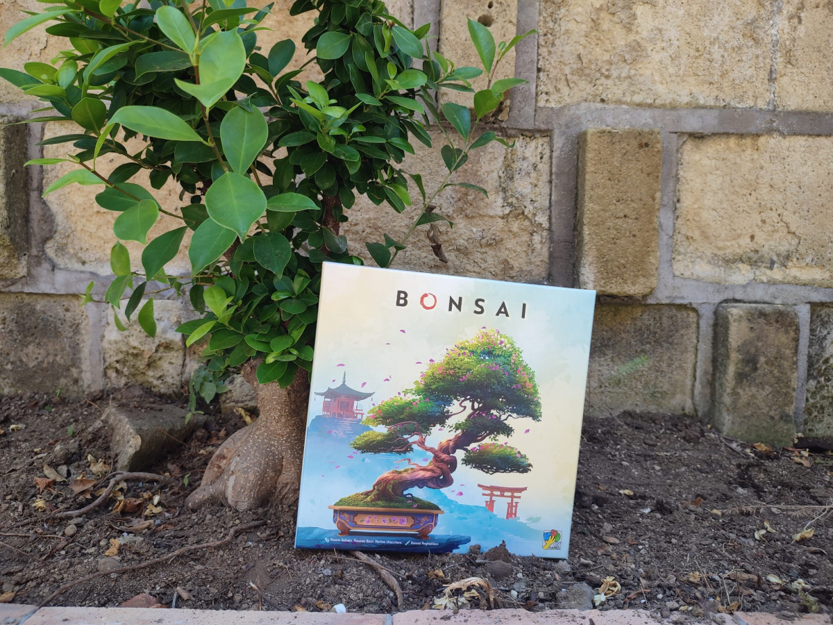 Il gioco Bonsai, vicino a un bonsai