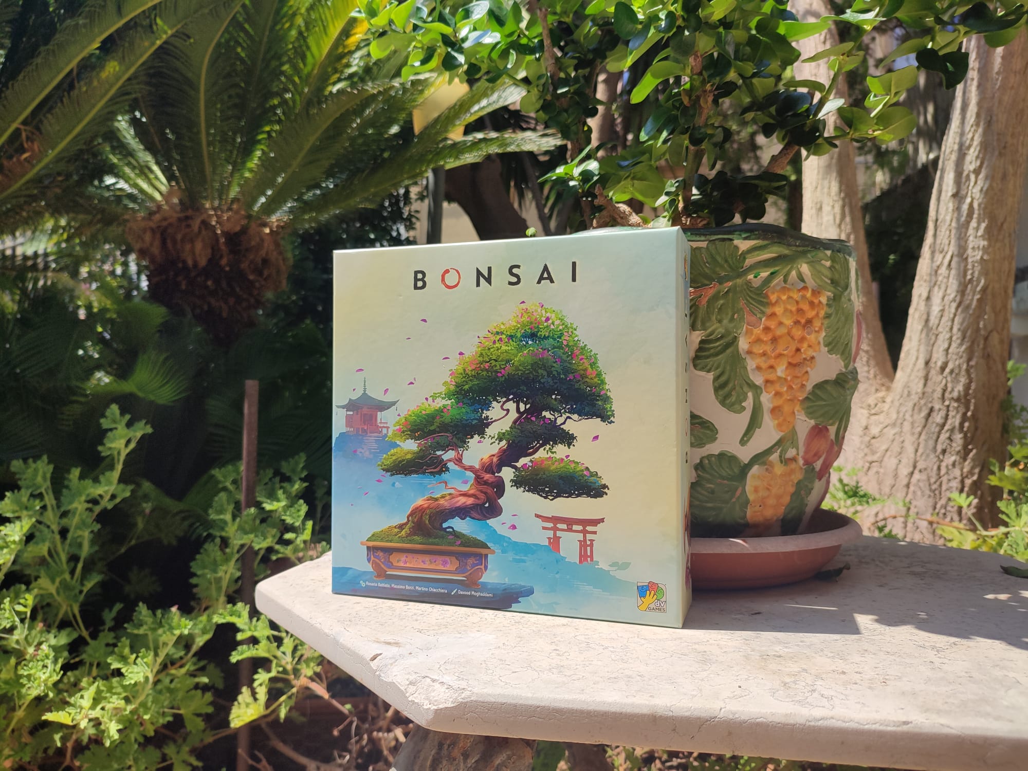 Anteprima Bonsai: il gioco da tavolo che rende divertente coltivare 