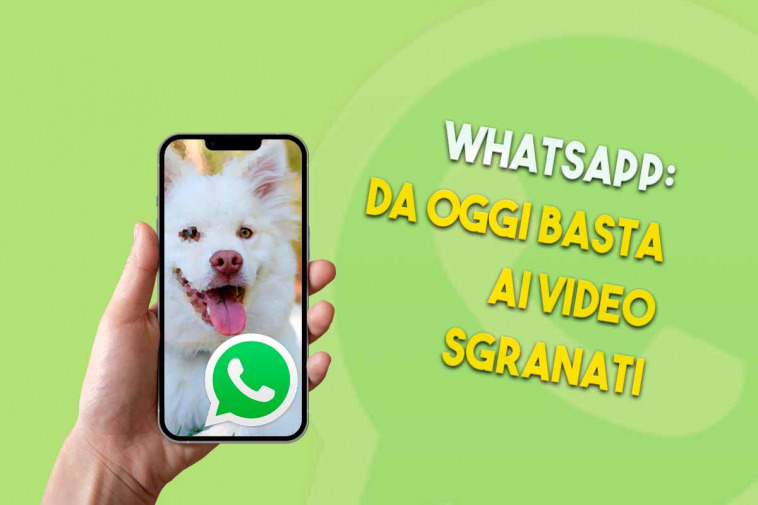 Whatsapp basta ai video sgranati