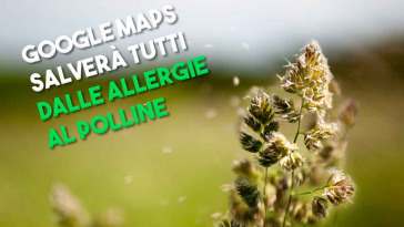 GOOGLE maps funzione per i pollini