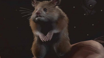 criceto di baldurs gate 3