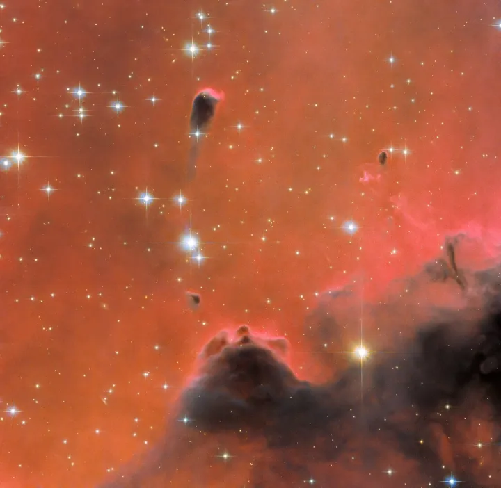 la nebulosa Westerhout 5 immortalata dal telescopio spaziale Hubble.