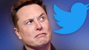 Elon musk che guarda un uccello