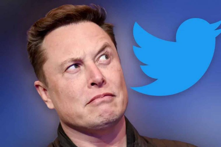 Elon musk che guarda un uccello