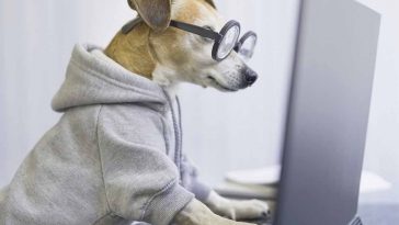 Smart working spesa imprevista