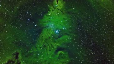 albero di natale nello spazio