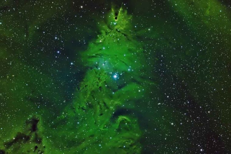 albero di natale nello spazio