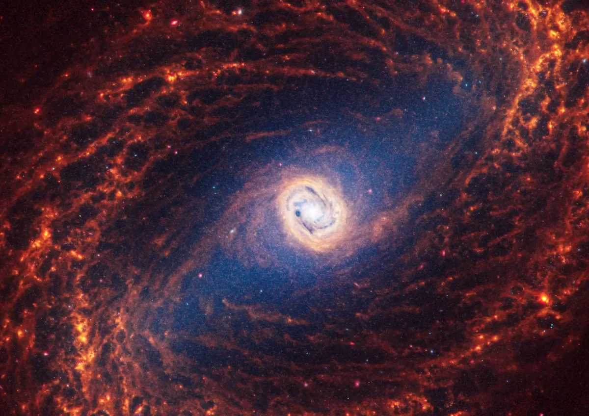 La galassia a spirale NGC 1433, nella costellazione dell'Orologio, dista 46 milioni di anni luce dalla Terra
