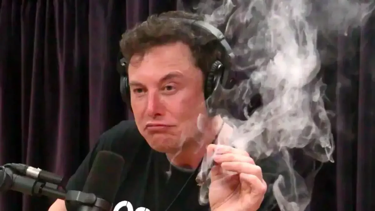 Elon Musk al 100%