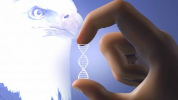 americani pronti a rubare il dna