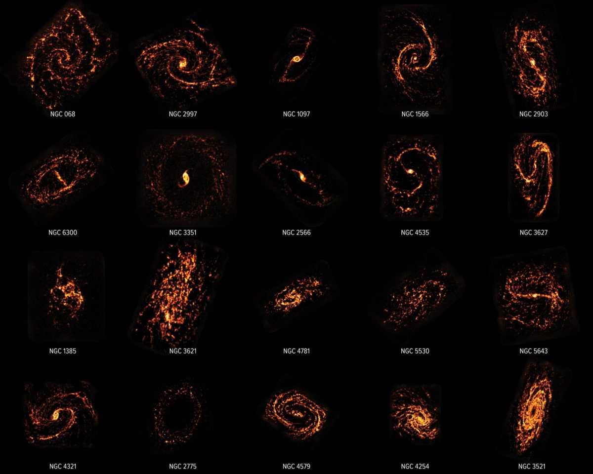 Alcune delle galassie censite dal progetto PHANGS, che permette  di apprezzarne le diverse configurazioni