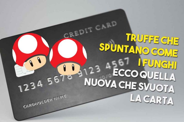 truffe che spuntano come funghi