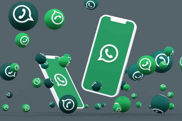 Whatsapp, c'è la versione Android 2.24.5.11