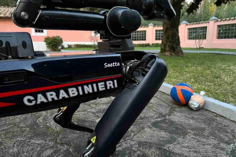 Saetta Cane robot