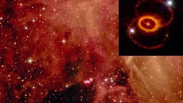 supernova SN 1987A
