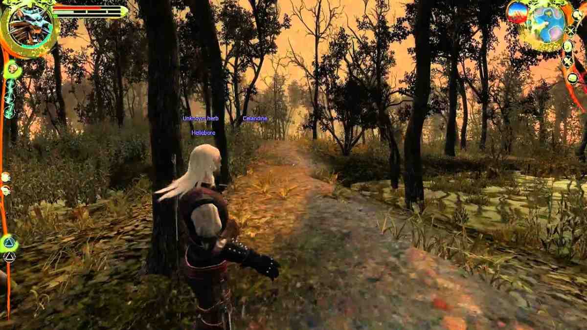 The Witcher 1 gameplay