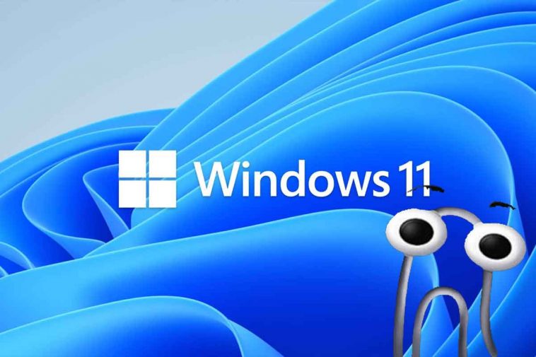 Windows 11