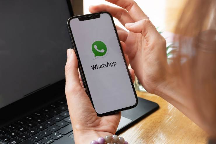 whatsapp per android, novità