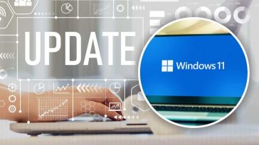 caratteristiche windows 11 moment 5