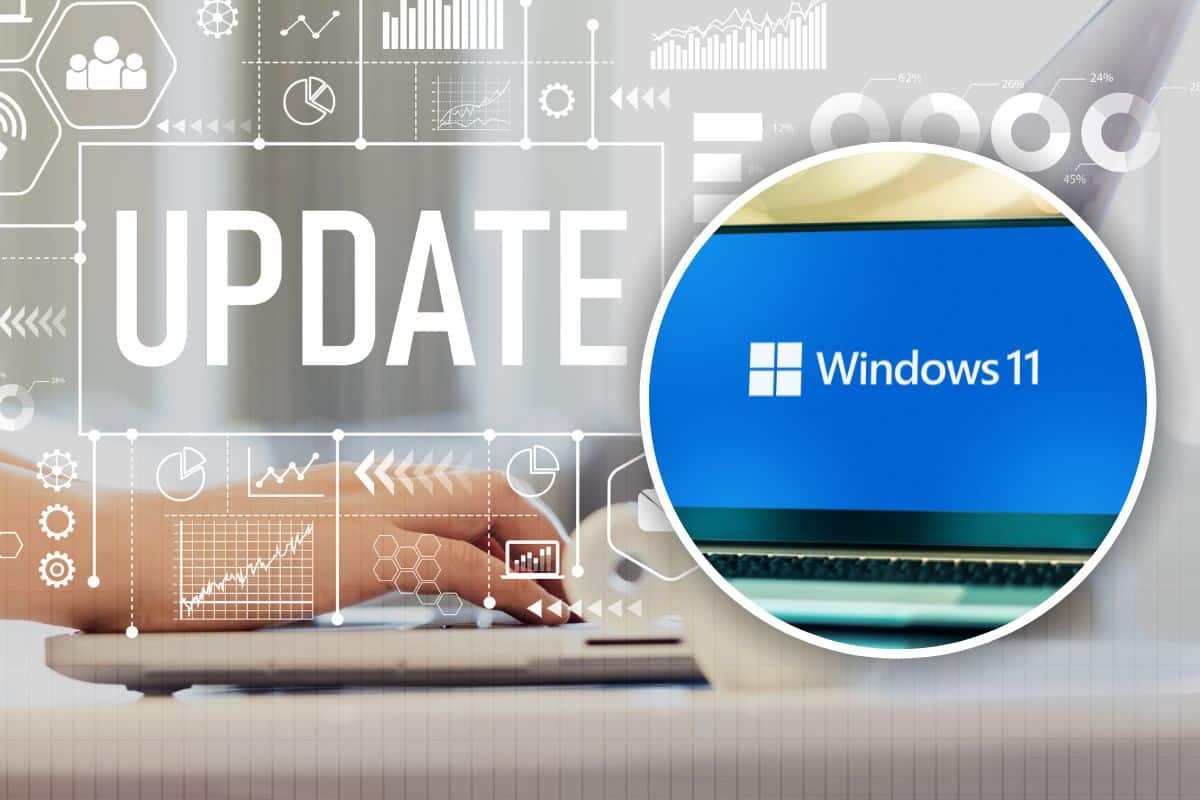 caratteristiche windows 11 moment 5