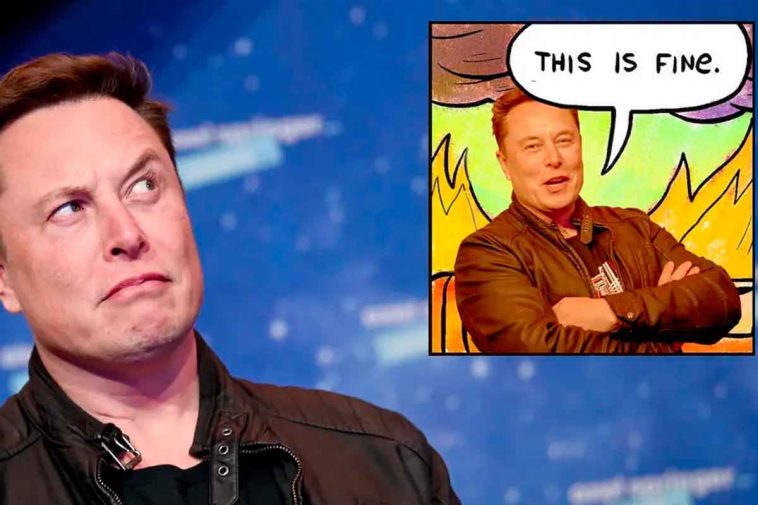 elon musk è un meme