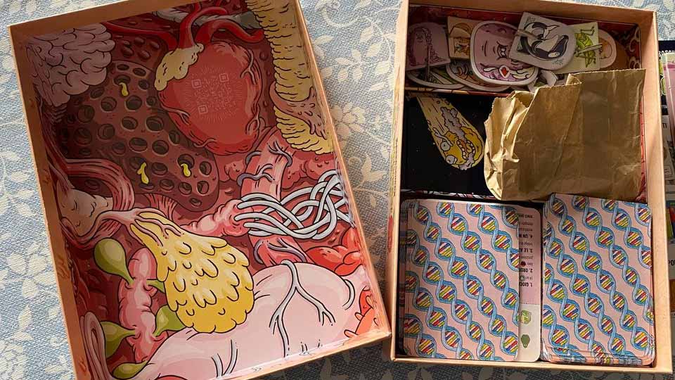 Interno della scatola di Evolversi Male