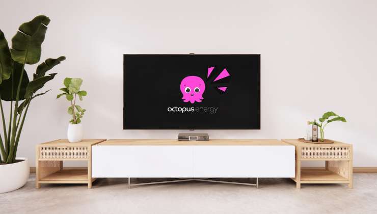 Octopus energy