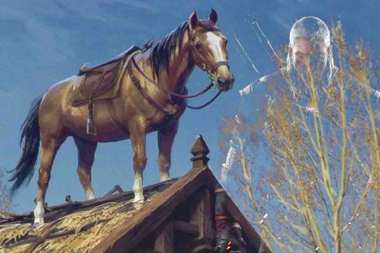 cavallo di the witcher 3 glitch
