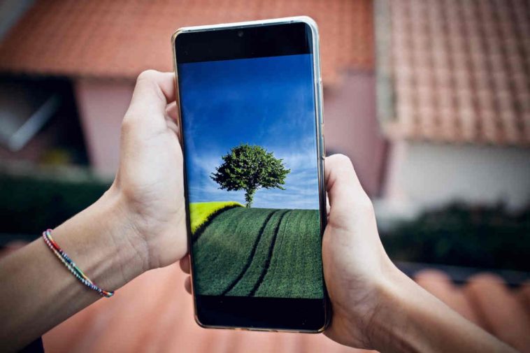 Smartphone e natura