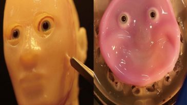 Pelle robot in laboratorio