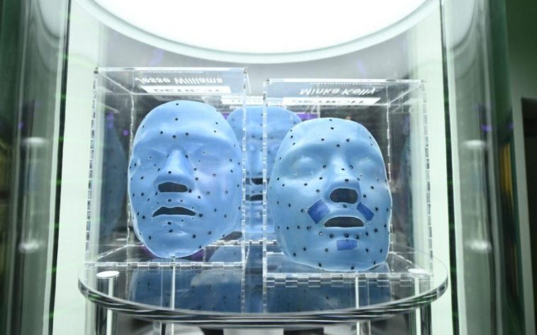 museo torino david cage