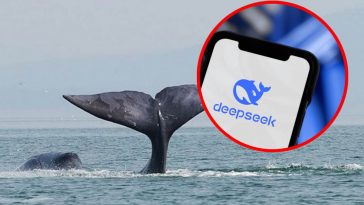 Balena di DeepSeek