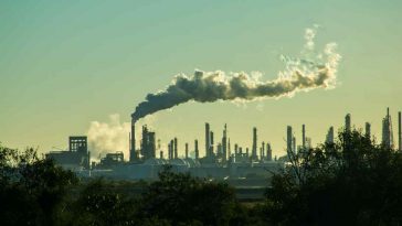paesaggio industriale con alberi in primo piano