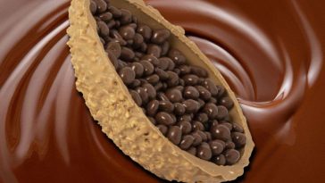 un uovo di pasqua artigianale su sfondo fatto di cioccolato