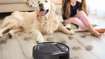 robot lefant che passa accanto a bambna che gioca con cane e perde peli