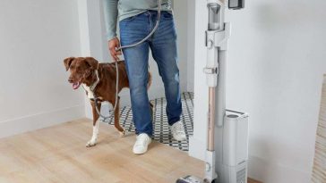 aspirapolvere shark appoggiata al muro e persona che entra in stanza col cane