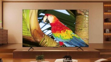 smart TV TCL su mobiletto in salotto con immagine pappagallo