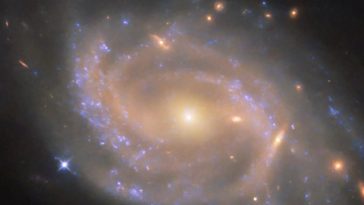 La galassia a spirare di Idra