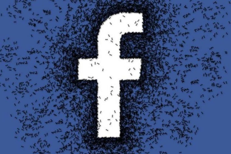 Il logo di Facebook creato da formiche