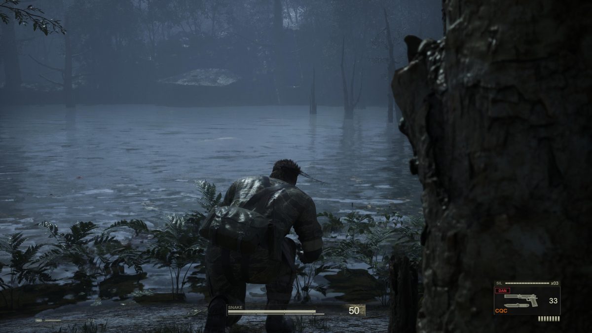 Metal Gear Solid Delta: Snake Eater, MGS Delta, Snake