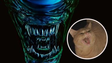 Lo xenomorfo di Alien e, in evidenza, un gatto arrabbiato